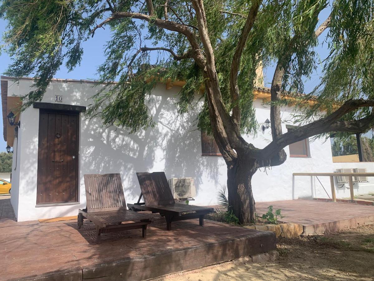 Apartamentos Villa Pirata טריפה מראה חיצוני תמונה